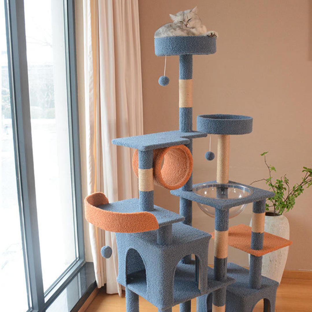 arbre a chat design interieur avec plateformes et griffoirs