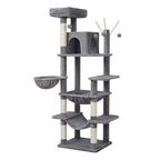 arbre a chat 175 cm multi niveaux