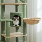 arbre a chat avec hamacs suspendus