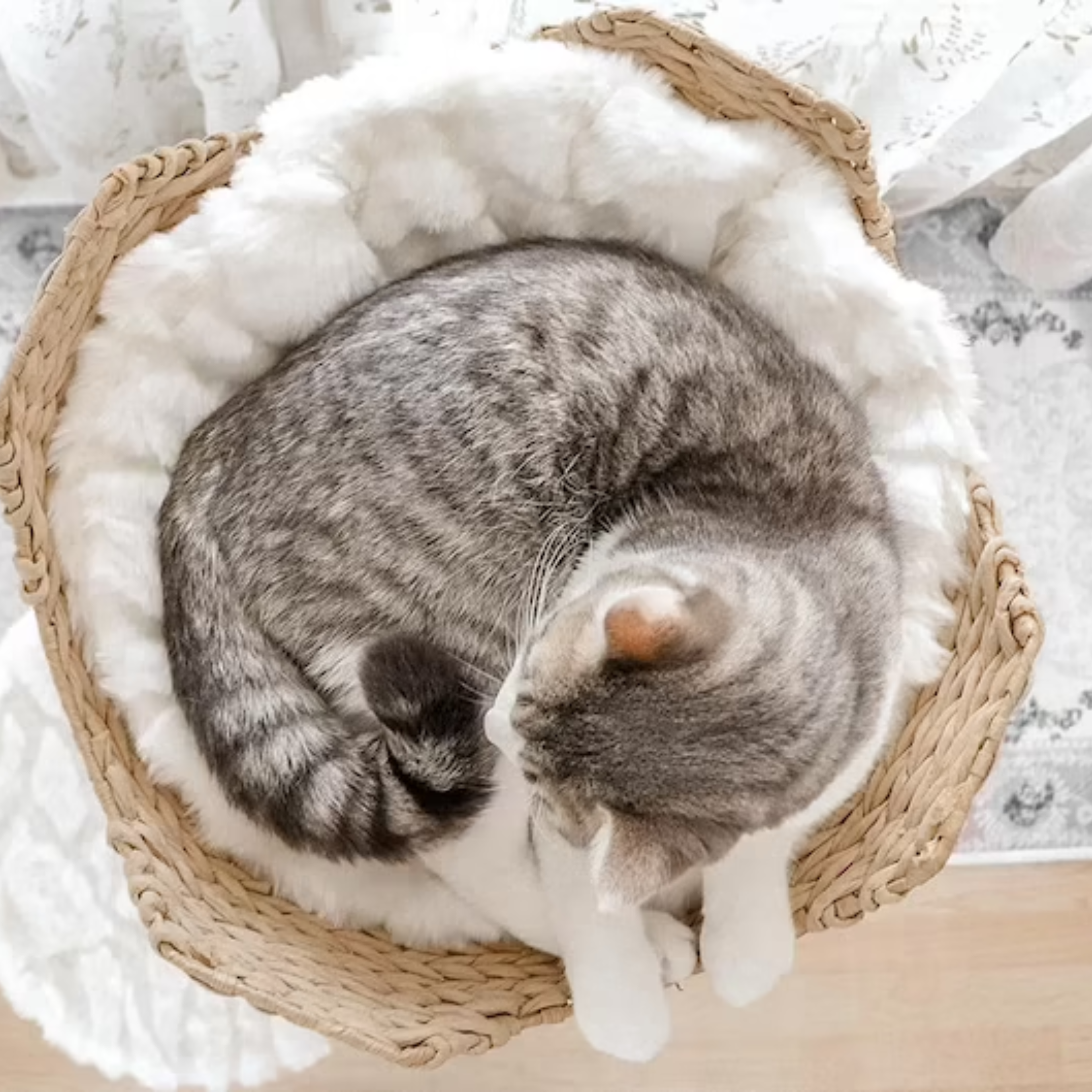 arbre a chat design naturel interieur