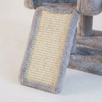 detail niche confortable sur arbre a chat