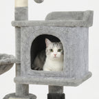 detail niche confortable sur arbre a chat