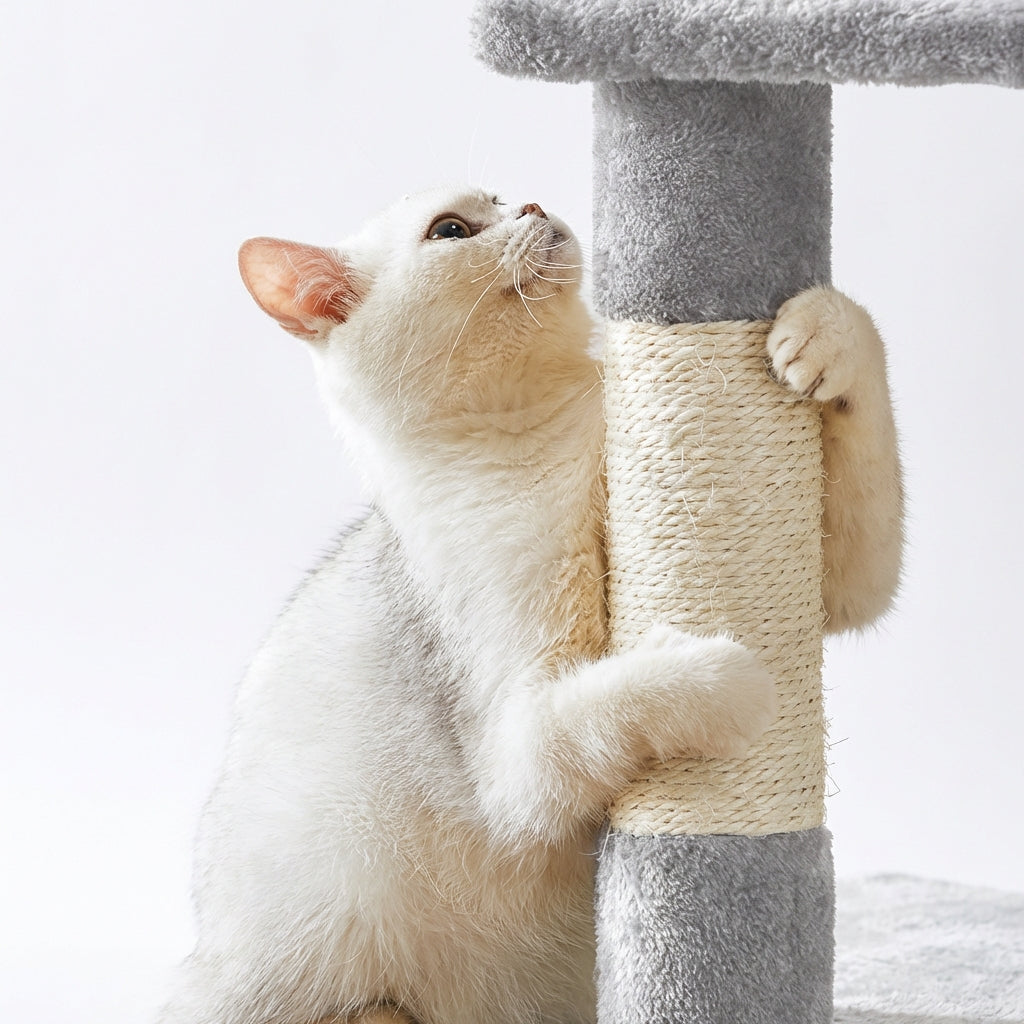 chat utilisant poteau griffoir sisal sur arbre a chat