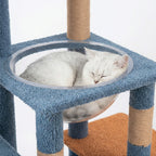 hamac confortable sur arbre a chat multi niveaux