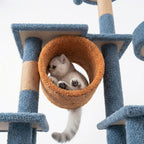 niche suspendue sur arbre a chat pour repos du chat