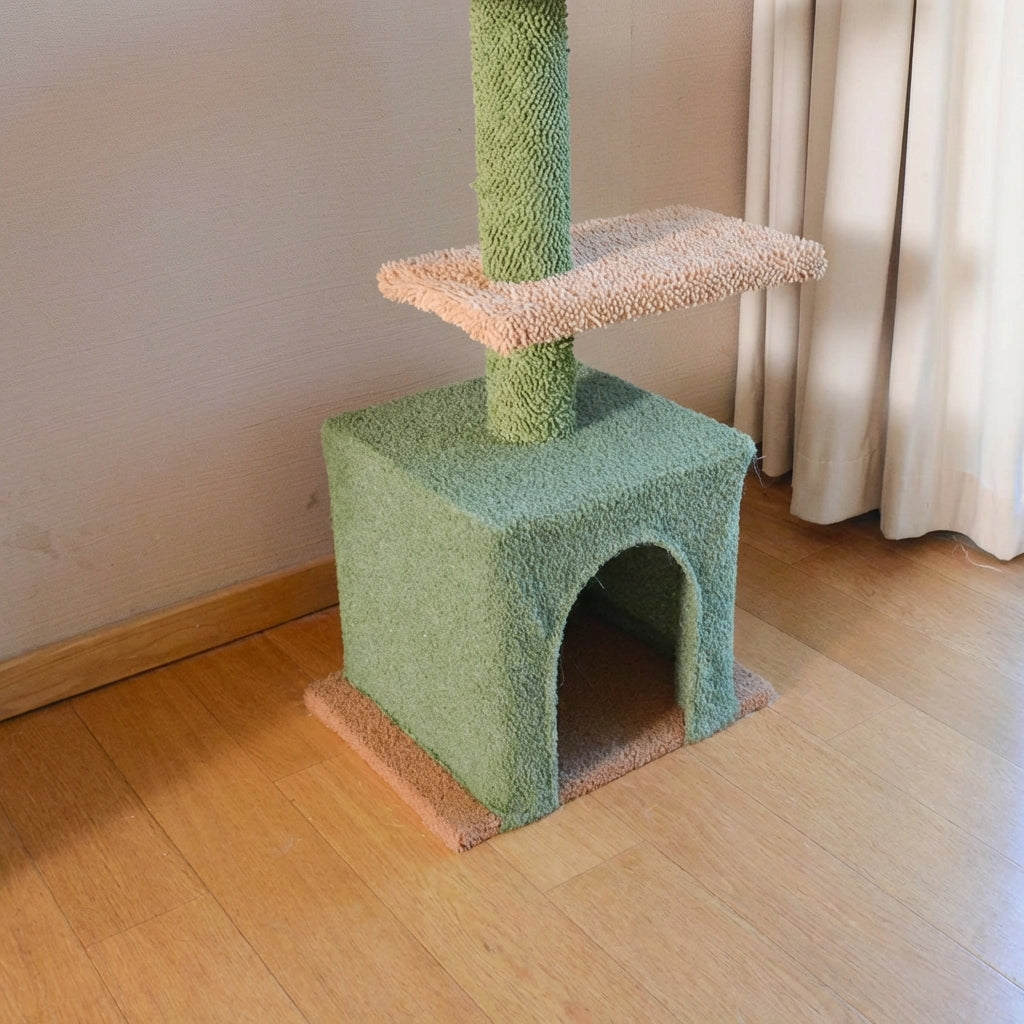 niche confortable sur arbre a chat cactus