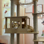 niche confortable sur arbre a chat multi niveaux