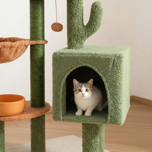 chat dans niche sur arbre a chat compact vert et orange