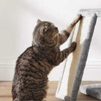 rampe griffoir pour chat sur arbre a chat