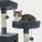 structure escalade chat 164 cm