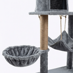 structure escalade chat interieur