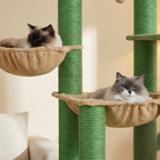 structure escalade chat interieur 170 cm